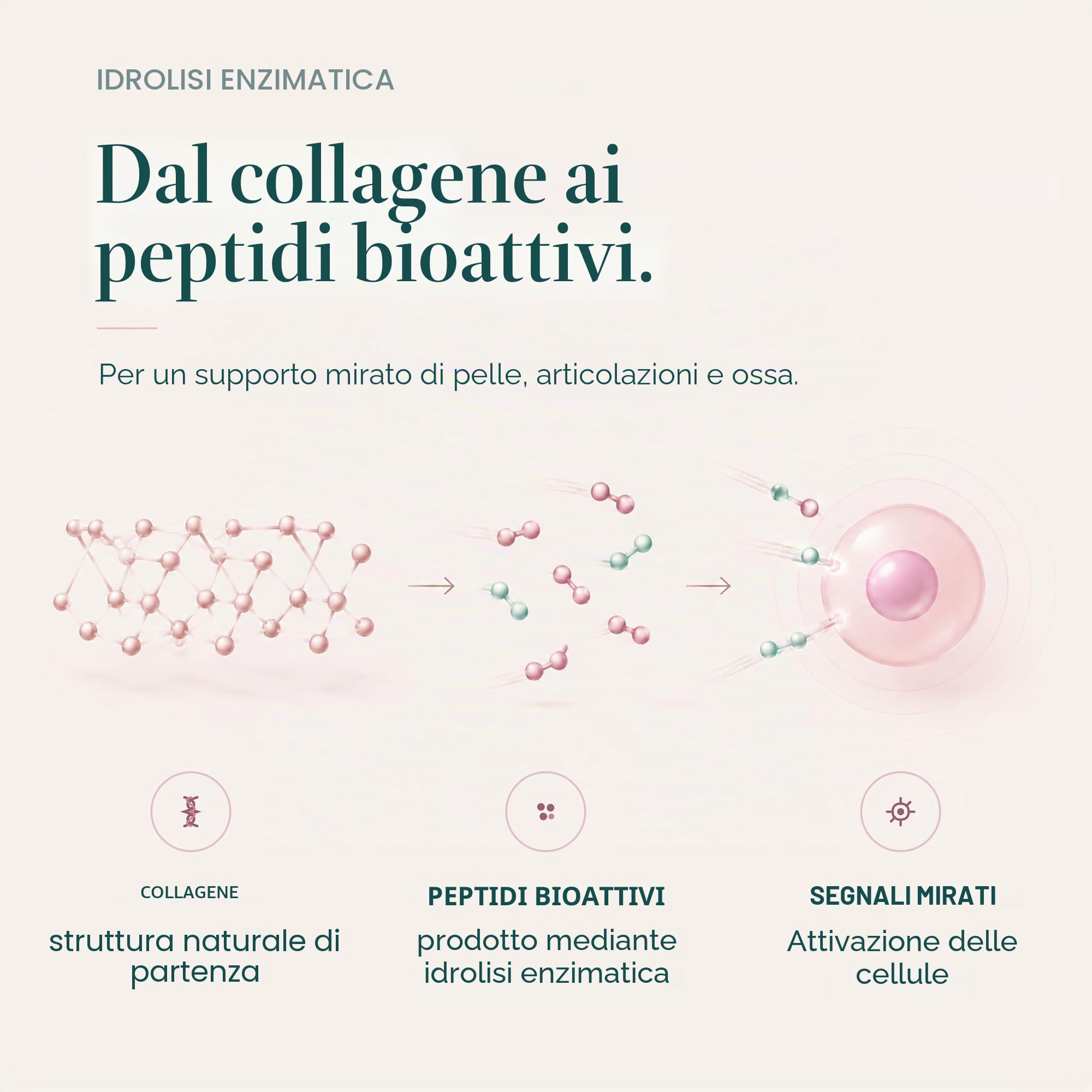 Kollagen Institut Capsule multi collagene – 540 capsule (3 mesi), peptide di collagene in polvere ad alto dosaggio, idrolizzato di collagene bioattivo tipo 1, 2, 3, 5, 10, per bellezza, pelle, capelli