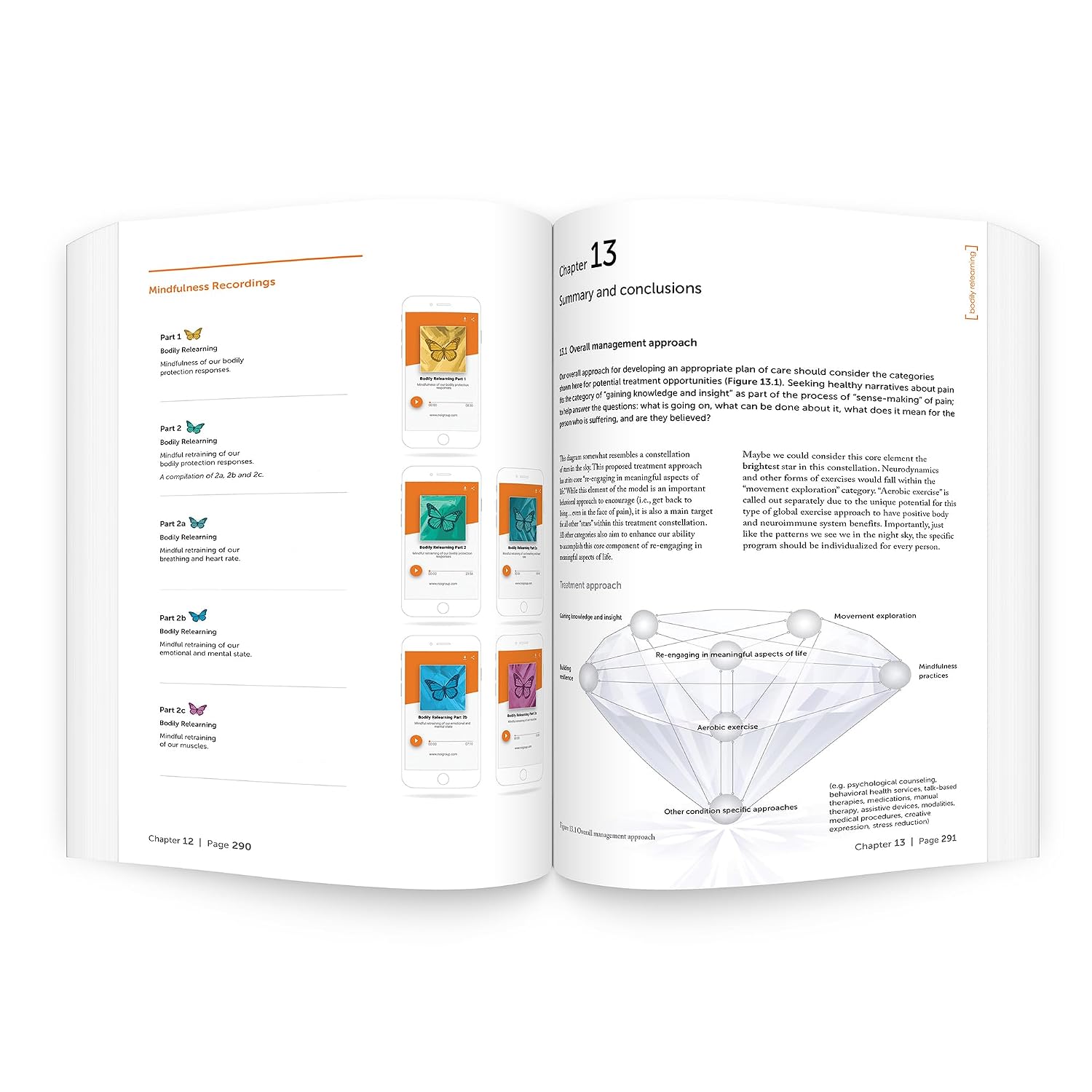 Bodily Relearning: Reteaching bodily protection responses through insight and movement exploration      1st Edition