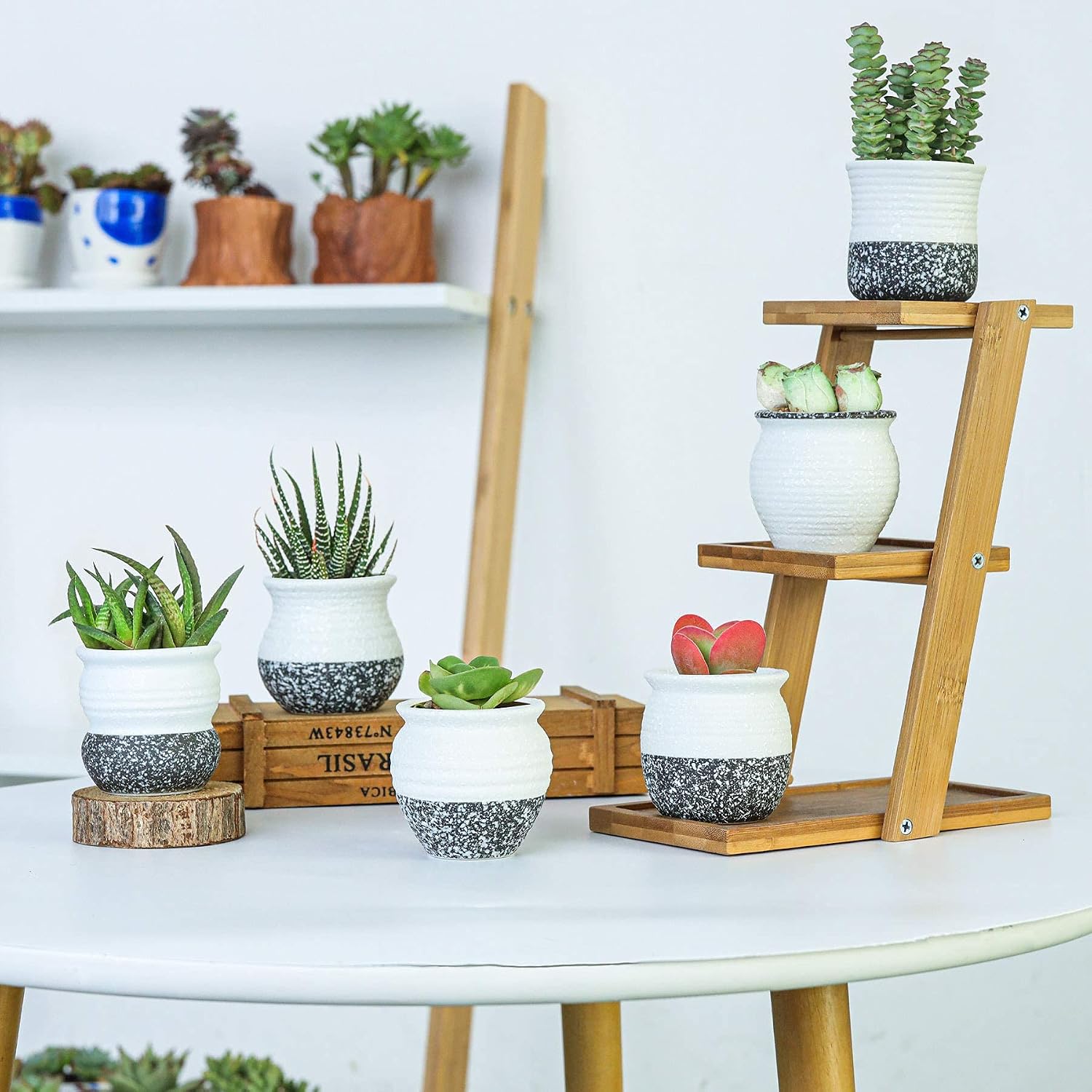 T4U 2.5 Inch Small Ceramic Succulent Planter Pots with Drainage Hole Set of 12, Snowflakes Glazed Porcelain Handicraft as Gift for Mom Sister Home Office Table Desk Decoration