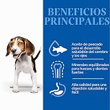 Ver la foto 3