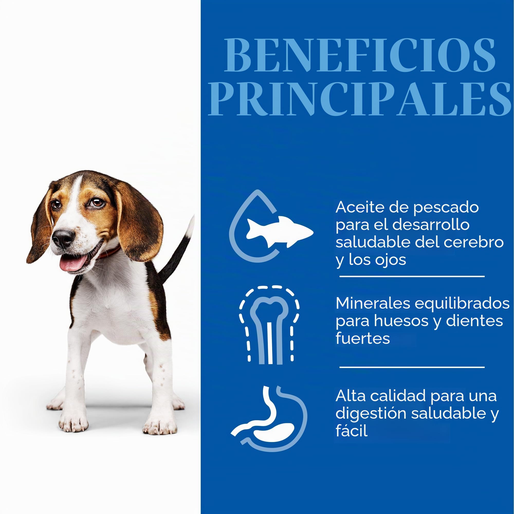 HILLS SCIE HSP Canine Puppy Medium Cordero ARROZ 14KG