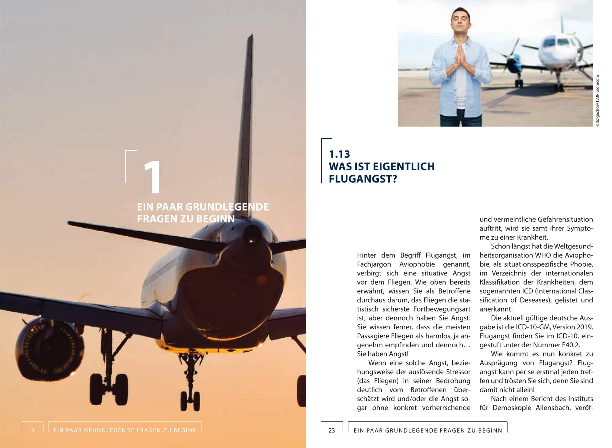 Was passiert beim Fliegen?: 100 Fragen - 100 Antworten für Passagiere