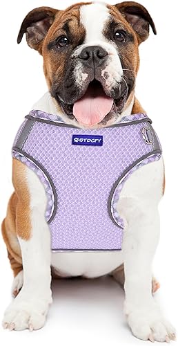 Miniatura 7 de Juego de arnés de malla paso a paso y correa para perro - Chaleco de malla de aire transpirable reflectante a prueba de escape, sin ahogo, ligero,