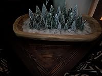 Review Image by Shay Shay