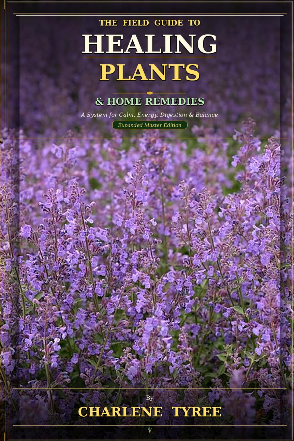 THE FIELD GUIDE TO HEALING PLANTS & HOME REMEDIES: A System for Calm, Energy, Digestion & Balance