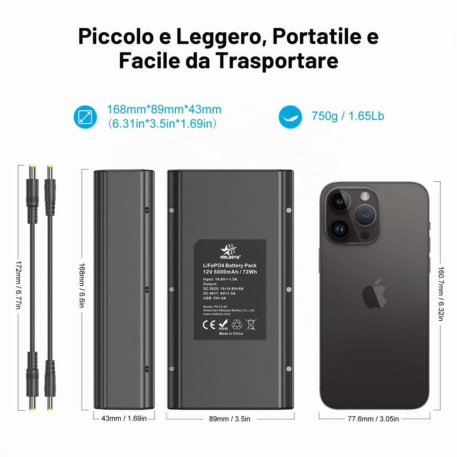 melasta LiFePO4 12V Powerbank 5V 9V 6000mAh Batteria con Caricabatterie | Powerbank con LED Display per Smartphone, Striscia LED, Telecamera di Sorveglianza, Mini Ventilatore, Piccolo Altoparlante