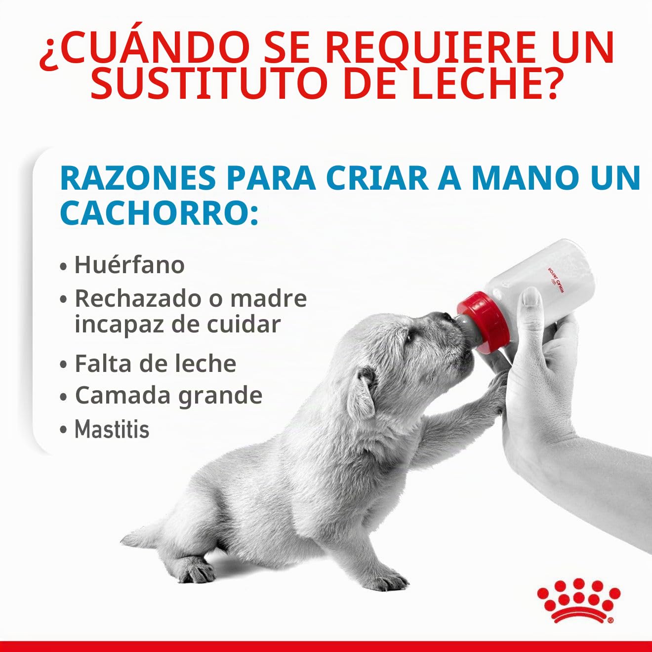 Royal Canin Comida para perros Babydog Milk 2 Kg