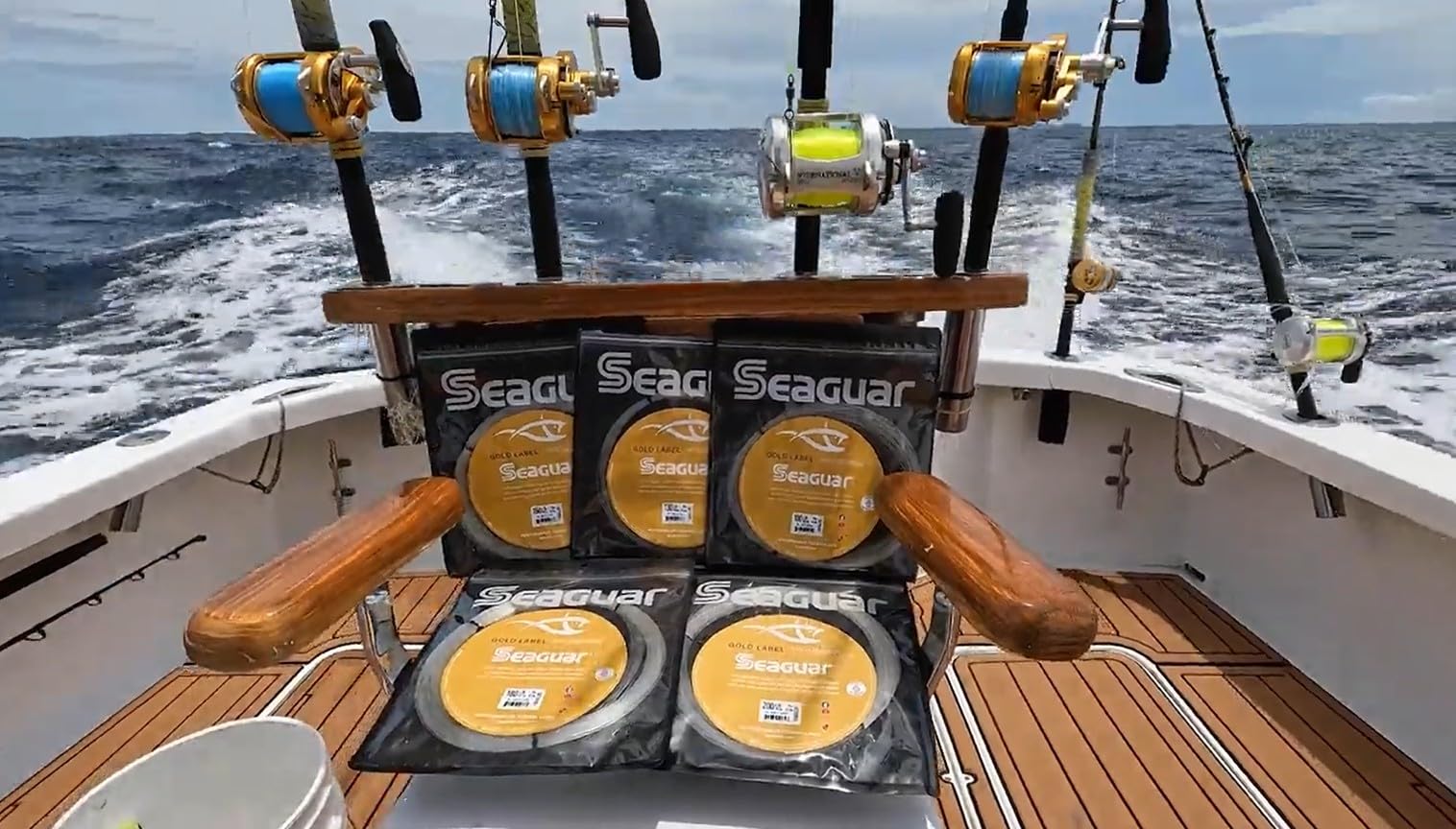 Amazon.com: Seaguar Gold Label Big Game 100% Fluorocarbon Fishing