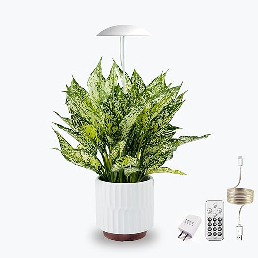 LED Grow Light for Indoor Plants, Intelligent USB Small Plant Lights with Remote Controller, Height Adjustable, Automatic Timer, Ideal for Home Decoration