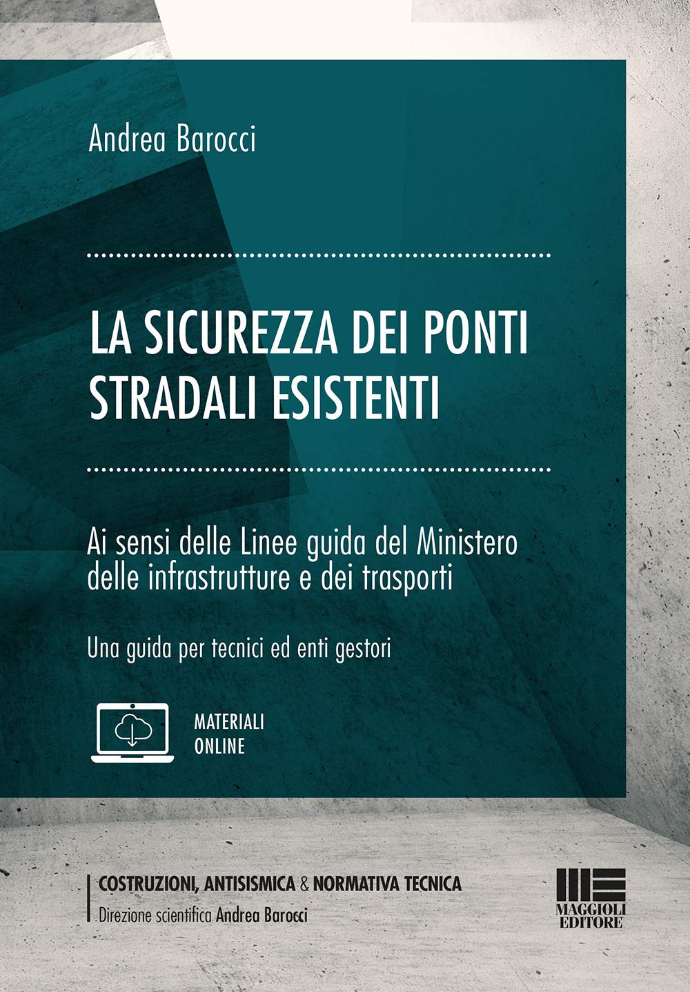 La Sicurezza Dei Ponti Stradali Esistenti. Ai Sensi Delle Linee Guida Del Ministero Delle Infrastrutture E Dei Trasporti. Una Guida Per Tecnici Ed Enti Gestori - 4