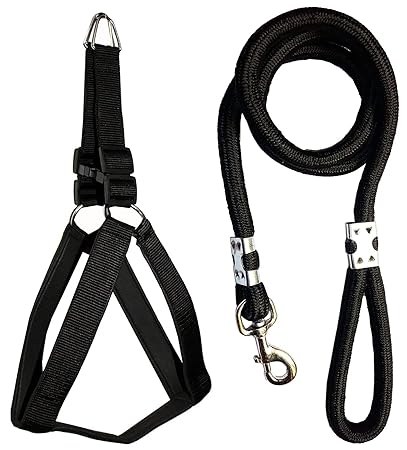 Smart Doggie? Nylon Padded Adjustable 0.75inch Dog Harness & 9mm Leash Rope NOT for Puppy (Black)