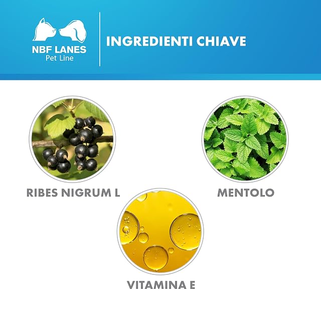 Foto 5 de 7 de NBF Lanes - Emulsión dermatológica de cristal líquido para perros y gatos de 50 ml, promueve la hidratación…