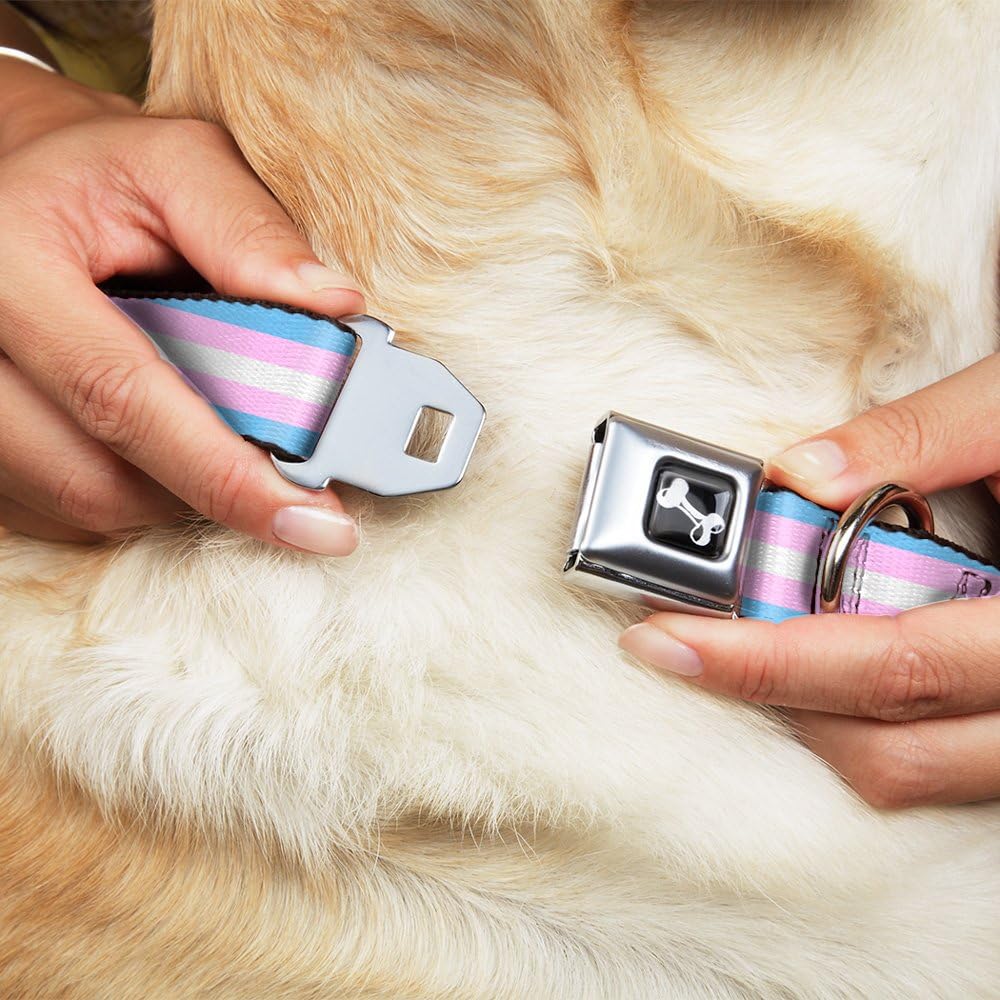 Dog Collar Seatbelt Buckle Flag Transgender Baby Blue Baby Pink White 16 to 23 Inches 1.5 Inch Wide