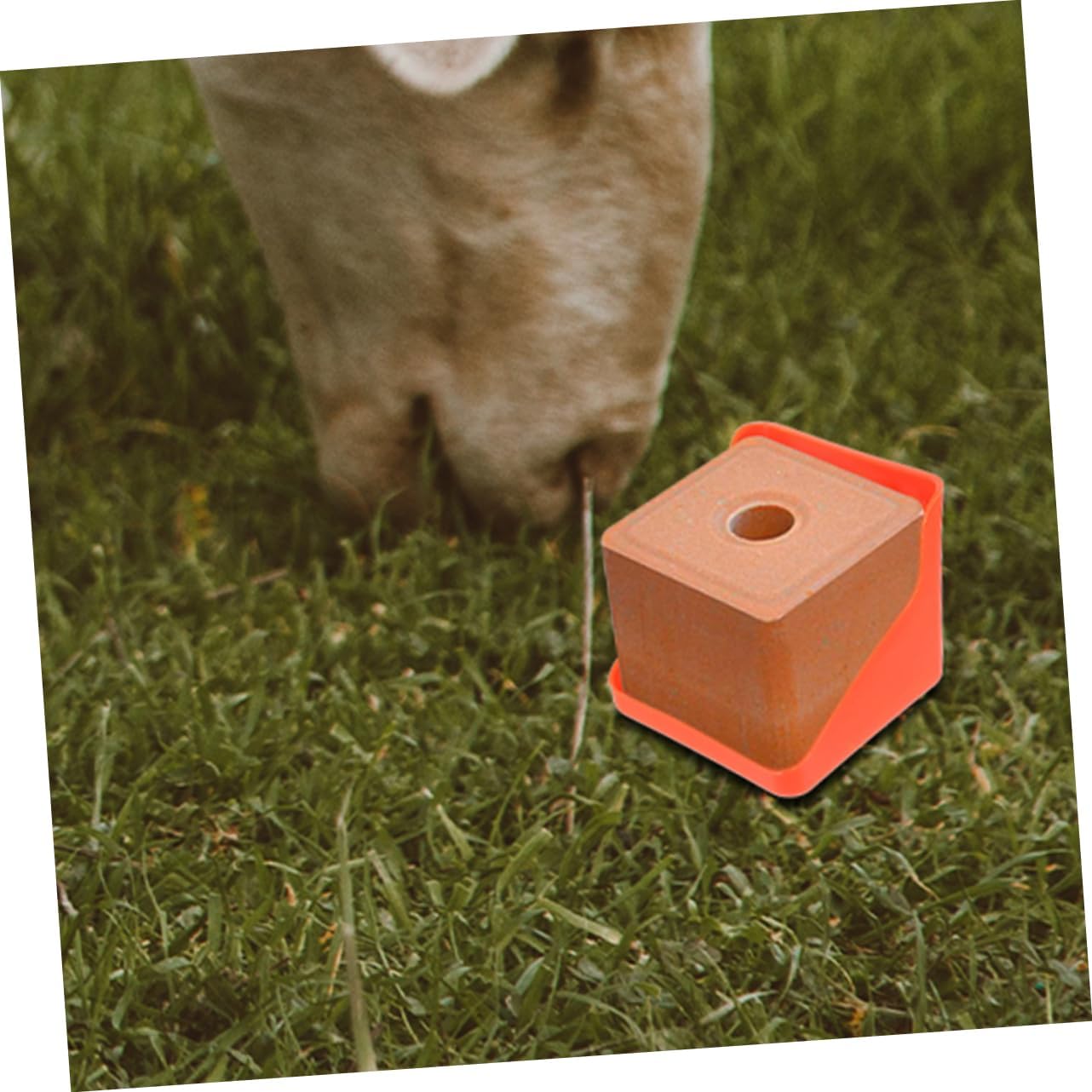 3Pcs Salt Block Holder for Cattle and Sheep Sturdy Feeding Tray Rack for Livestock Convenient Salt Licking Accessory for Agricultural Use