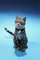 Mr.Ｚ子猫バージョン Amazon | Mr.Z 1/6 サイズ 猫 可愛い 家猫 動物 リアル