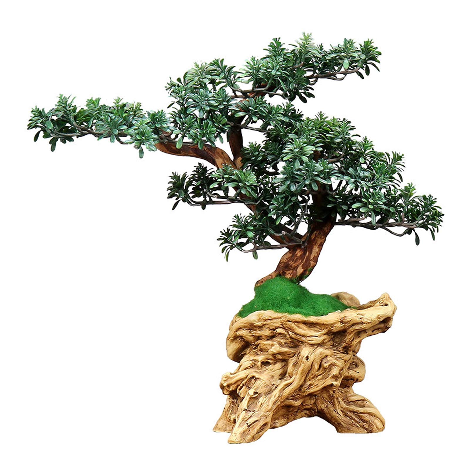 Drzewo symulacji Sztuczne Podocarpus Sosnowe Symulacja Zielona Roślina Bonsai Żywica Korzeń Korzeń Baza Zen Desktop Ozdoby Domowe Wnętrze Wnętrze Dekoracje Wewnętrzne Dekoracje, Zielony, 18,5 "Wysoki