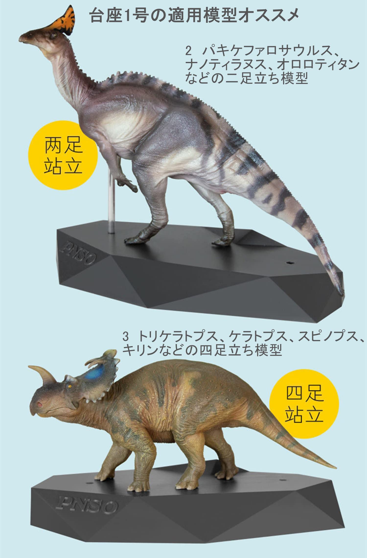 Amazon | PNSO 恐竜 動物 フィギュア 模型 展示用 通常台座