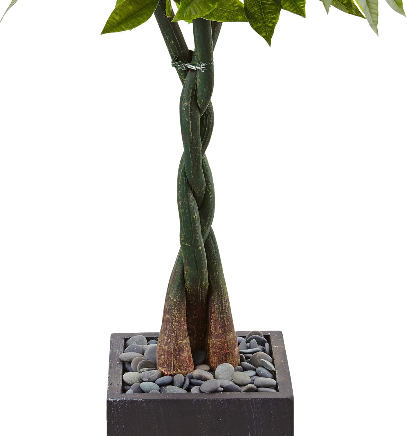Nearly Natural 5ft. Money Artificial Tree in Black Square Planter