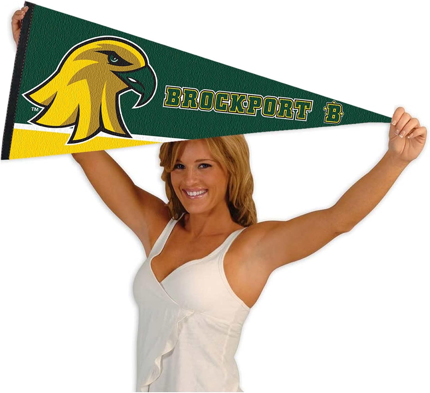 SUNY Brockport Golden Eagles Logo Pennant Flag