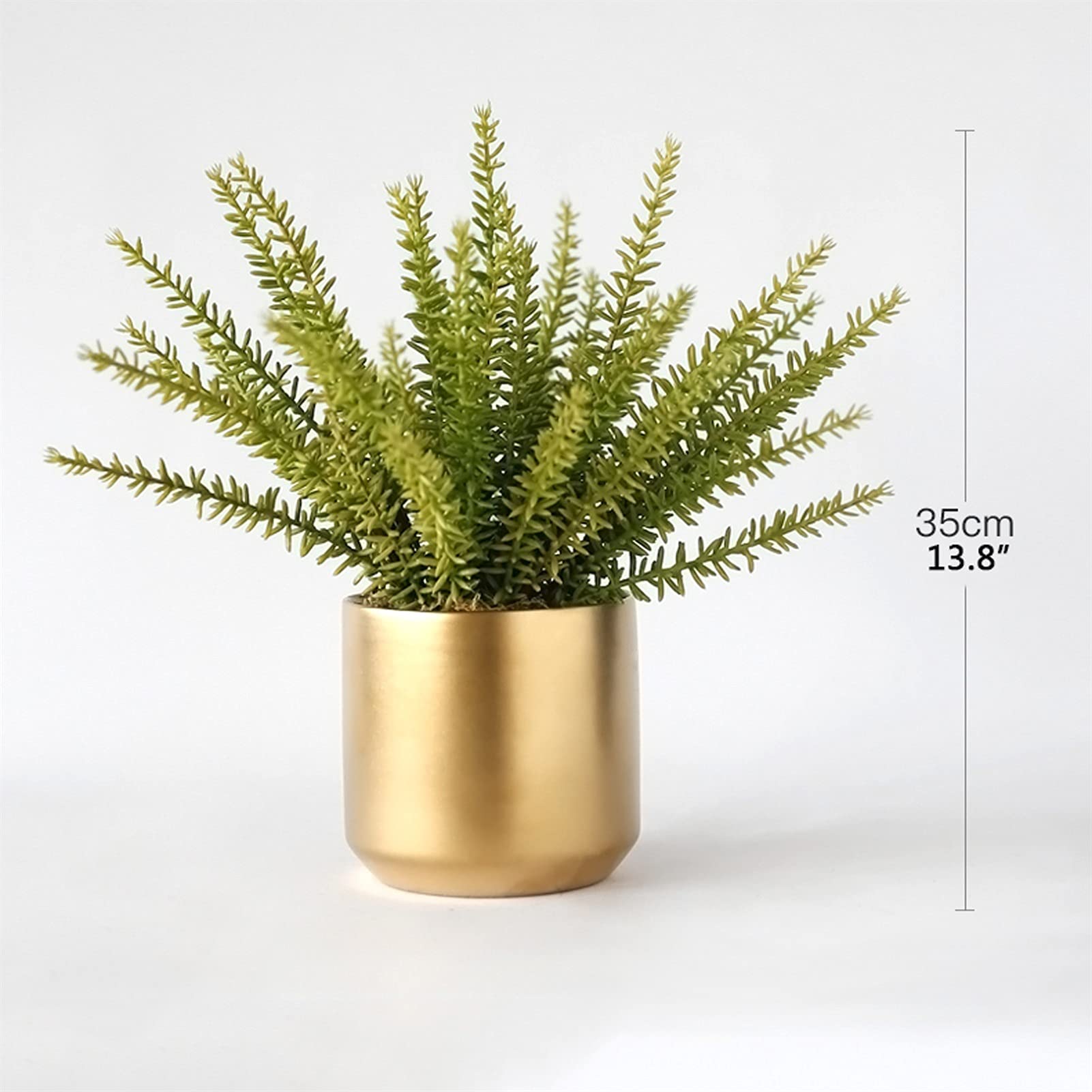 Amazon｜人工観葉植物 ミニ人工観葉植物 フェイクシダ植物 ゴールデン 