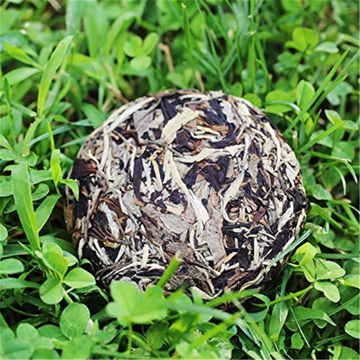 100g (0.22LB) Roher Pu'er Tee Moonlight Old Puer Tee Grüner Tee Pu-Erh Tee MengHai Pu Erh Tee Chinesischer Tee Gesunder Puerh Tee Grün Guter Sheng Cha