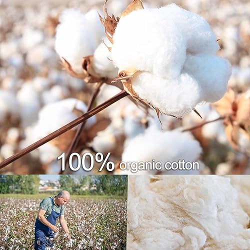 Miniatura 3 de ACCKUO Juego de juguetes de sonajero de peluche para bebé, oso de peluche, sonajero de peluche, 2 unidades