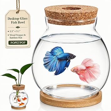 POPETPOP Desktop Glass Fish Bowl - Round Small Fish Tank