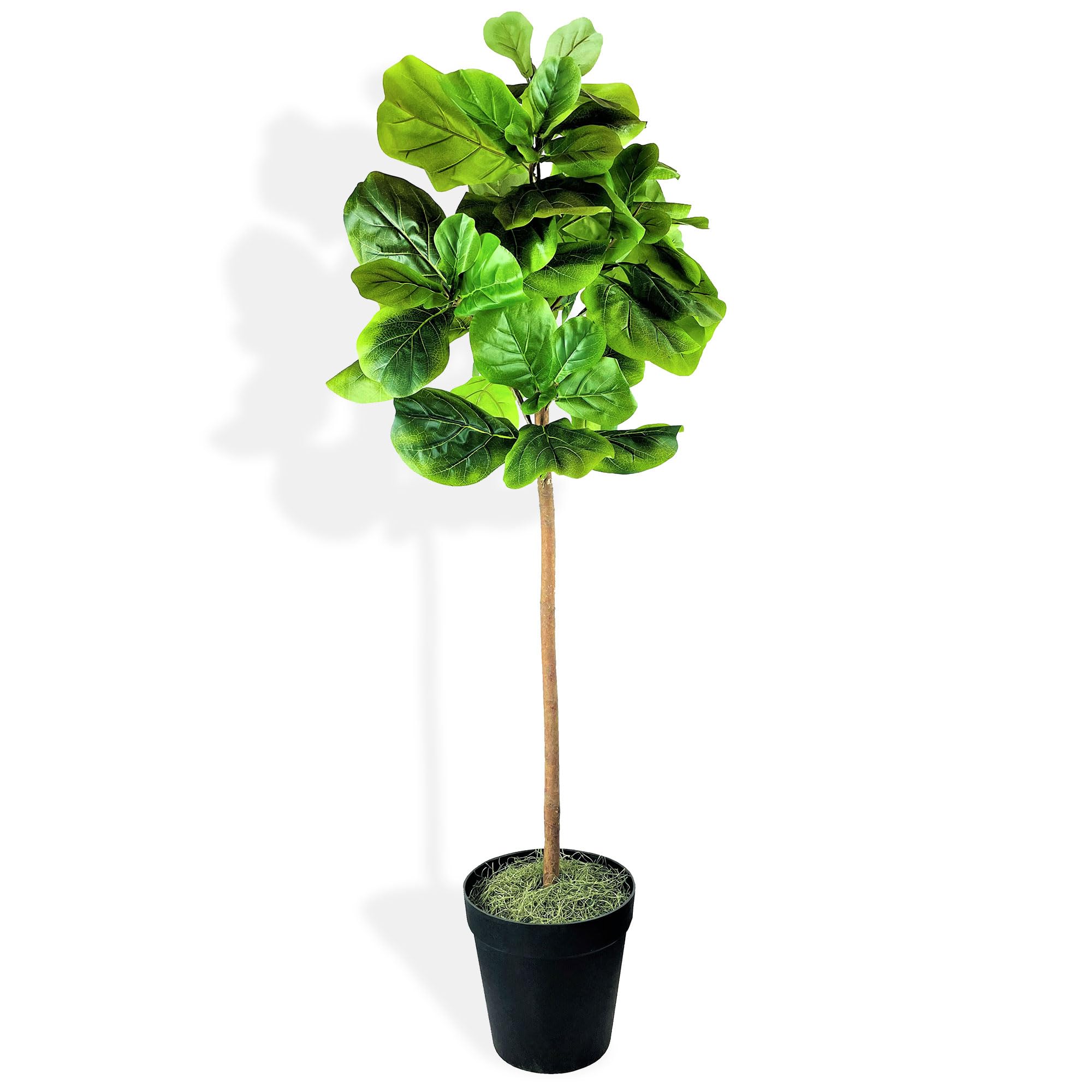 (Similar)5FT Artificial Fig Tree with Real-Wood Trunk & Black Plastic Pot - Indoor and Outdoor Faux Plants for Living Rooms, Offices, Kitchens & Outdoor Spaces (5FT, Black Plastic Pot)