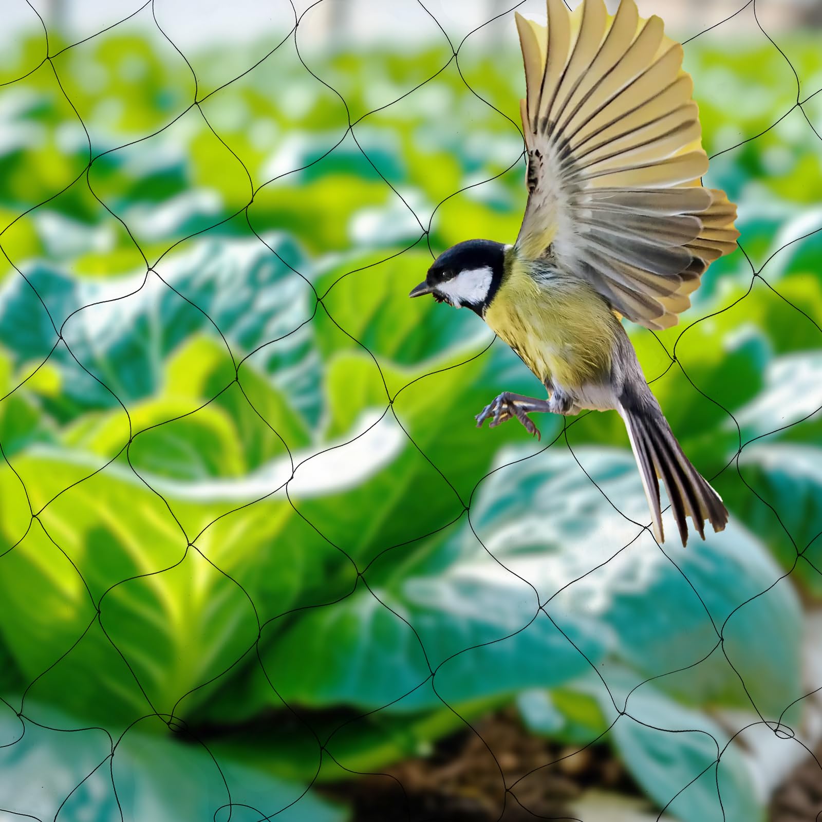 Vogelschutznetz 30m x 15m | Schwarz Nylon Vogelabwehrnetz mit 5x5 cm Maschenweite | Teichnetz, Laubschutz für Garten, Orchard, Pool, Baseballplatz | UV-beständig & Langlebig‌