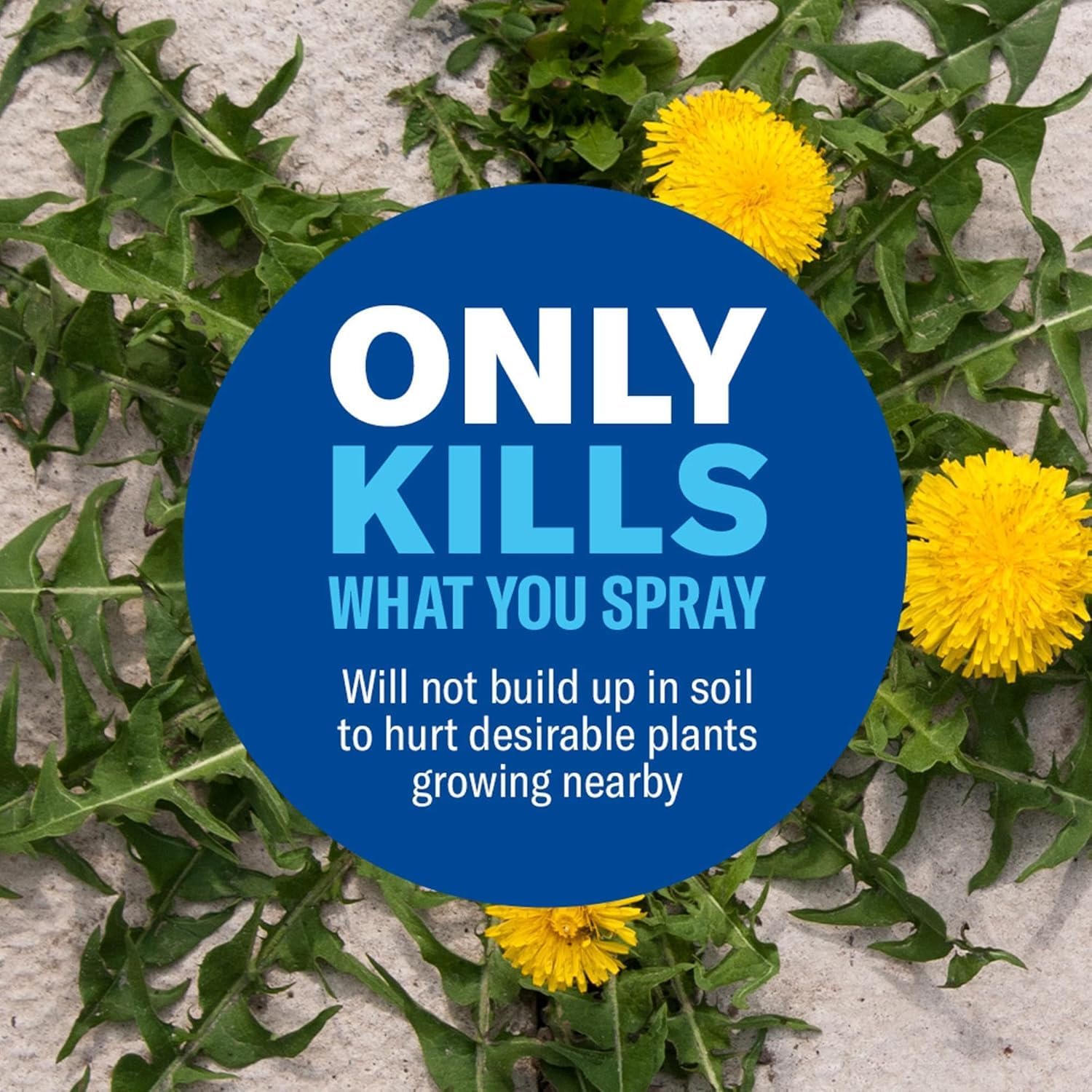 BioAdvanced Weed and Grass Killer, Super Concentrate, 64-Ounce, Grass Killer Concentrate