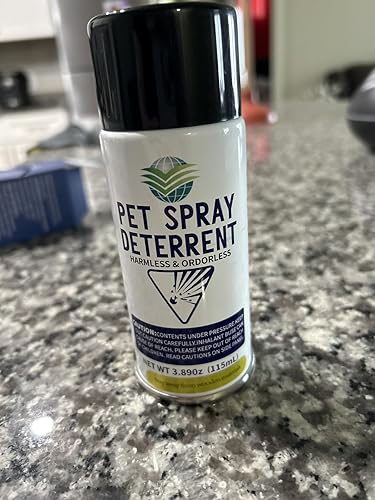ubuy UK
