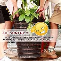 Vista 2 de Paquete de 5 soportes con ruedas para plantas de servicio pesado de 12 pulgadas, soporte metálico para plantas con ruedas, carretilla para plantas