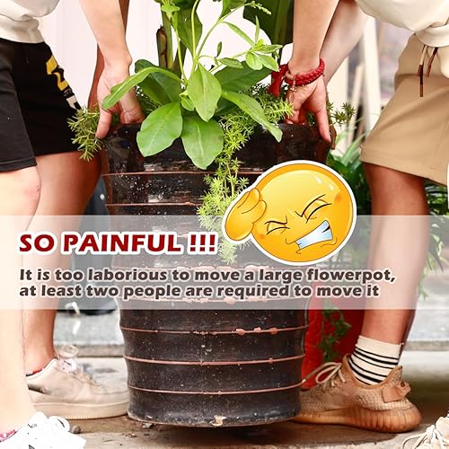 Miniatura 2 de Paquete de 5 soportes con ruedas para plantas de servicio pesado de 12 pulgadas, soporte metálico para plantas con ruedas, carretilla para plantas,