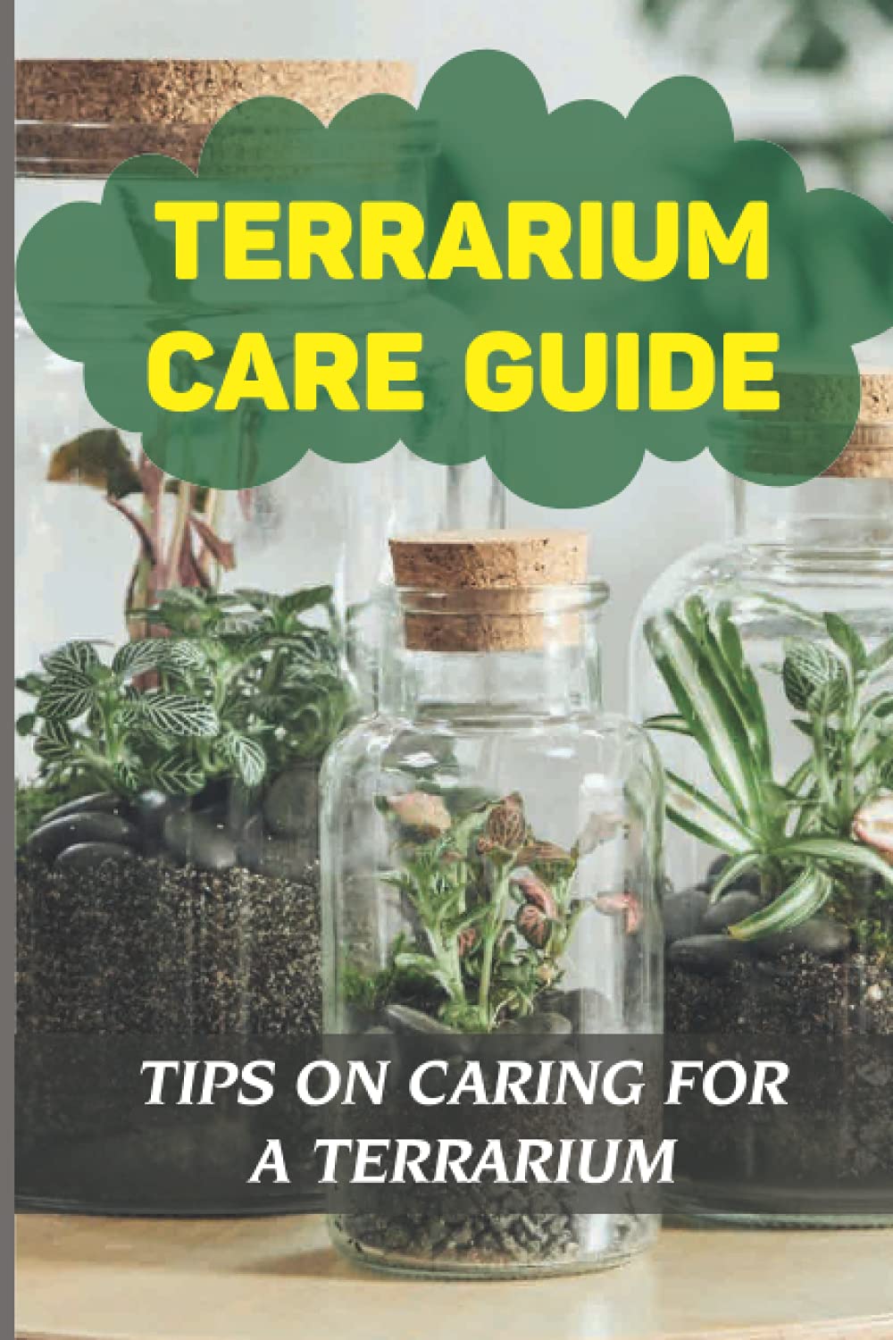 Terrarium Care Guide: Tips On Caring For A Terrarium: Learning How To Make A Terrarium