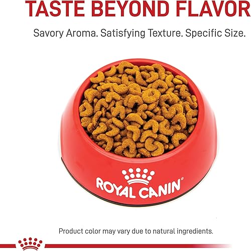 Miniatura 2 de Royal Canin Feline Breed Nutrition American Shorthair - Alimento seco para gatos adultos, bolsa de 5.5 libras