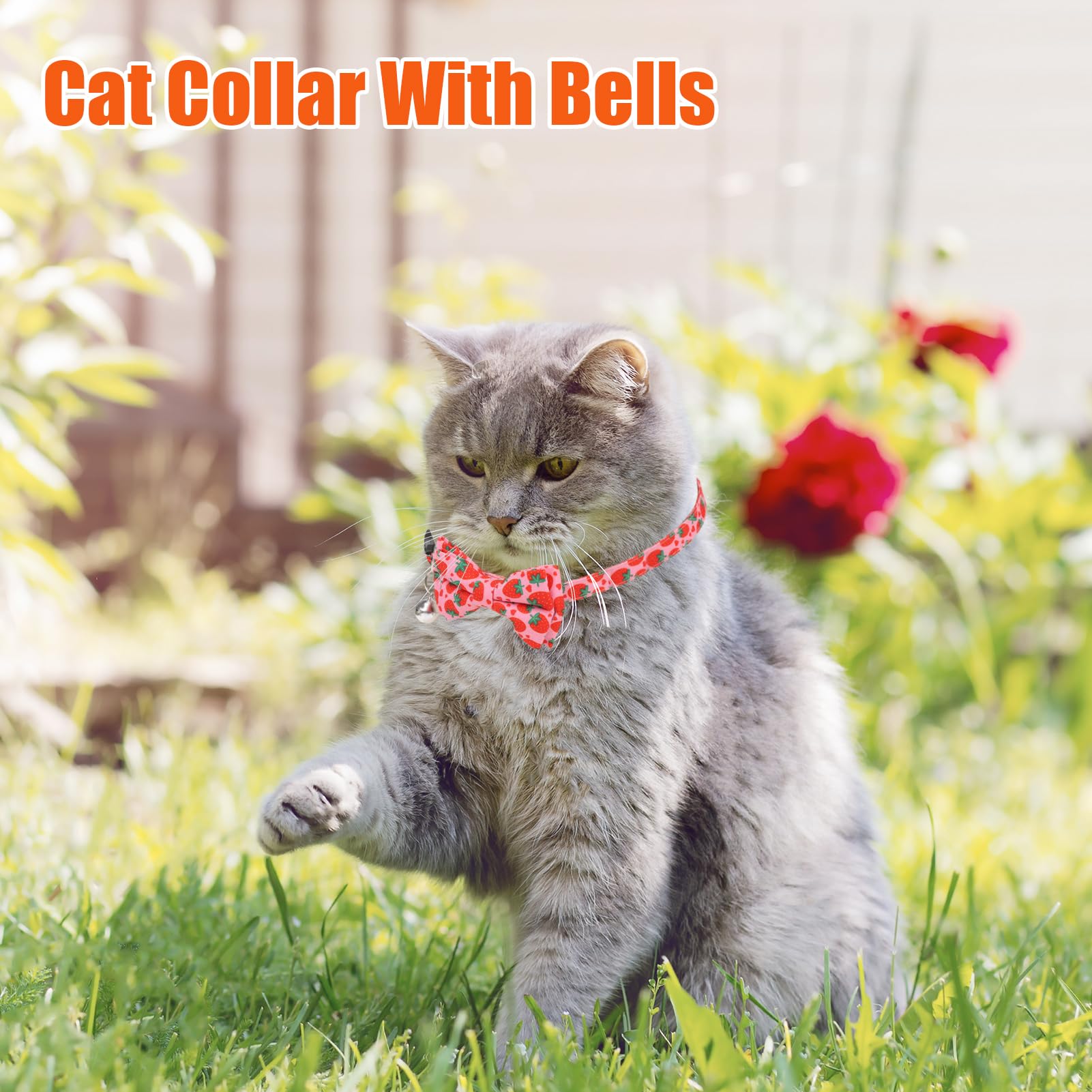 Paquete de 4 collares de gato con pajarita y campana, collar de gato, collar de gato, collar de gato, collar de gato de frutas, collar de gatito, collar de seguridad ajustable para primavera