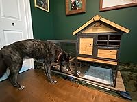 Review Image by Customer Customer