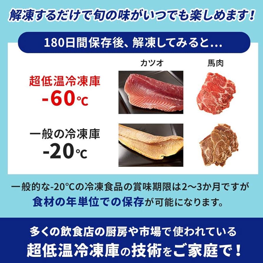 送料込み//2020年製 ダイレイ フィッシュボックス 冷凍庫70L 説明書