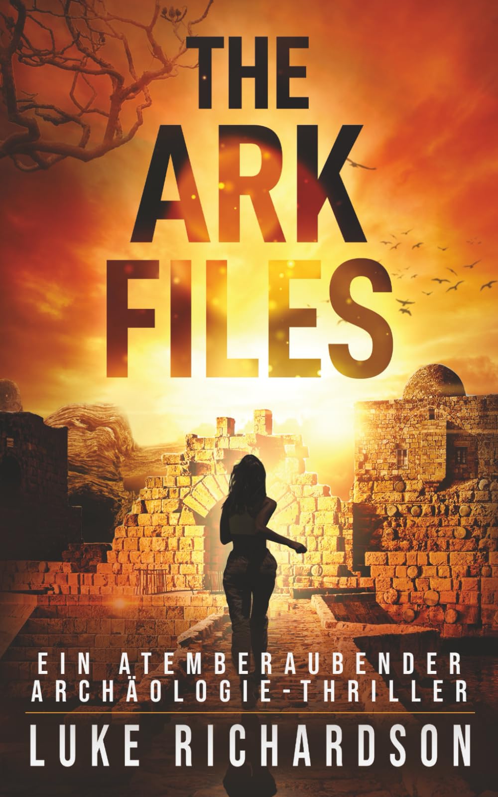 The Ark Files: Ein Atemberaubender Archäologie-Thriller (Eden Black Archäologie-Thriller)