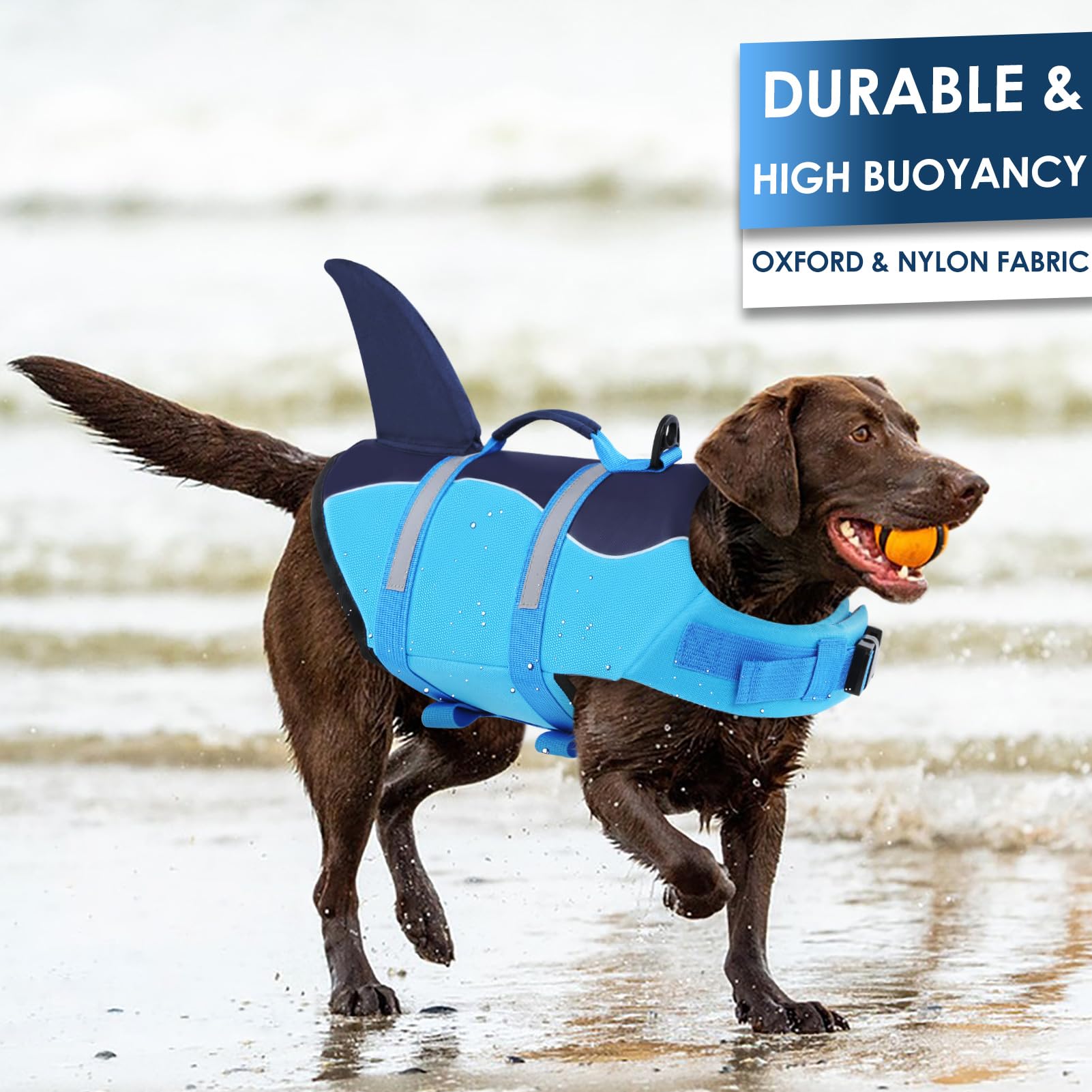 Dog Shark Fin Floating Vest For Dogs MIGOHI Shark Fin Dog Life