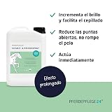 Ver la foto 2