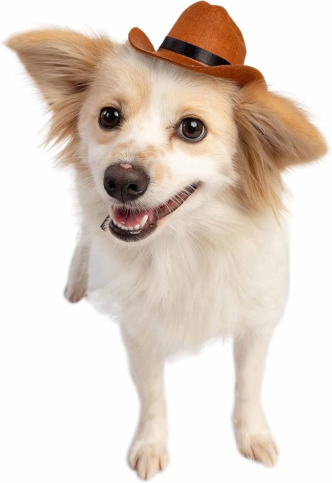 Disfraz Sombrero de Vaquero para Perros y Gatos Pet Krewe miniatura 3