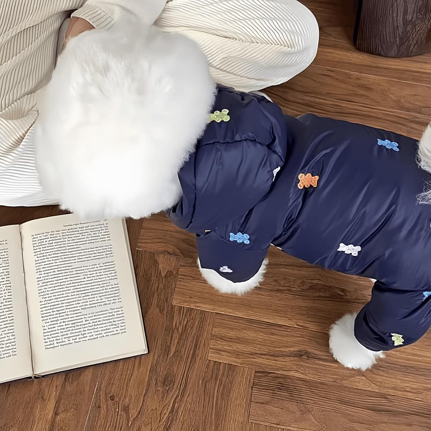 Extra Warm Dog Hoodie Cute Dogs Jacket Windproof Pet Winter Coats with Hooded for Small Dogs (White,XL (8.8-13lbs)