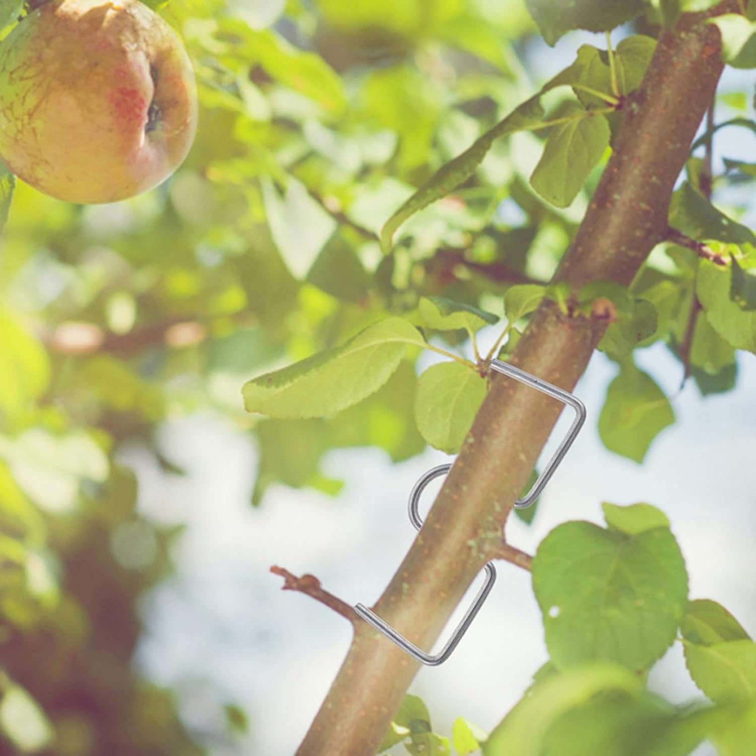 Hemoton 40pcs Tree Branch Training Clips Bending Tool Branch Puller Spreader Support for Gardening and Orchard Management Supply