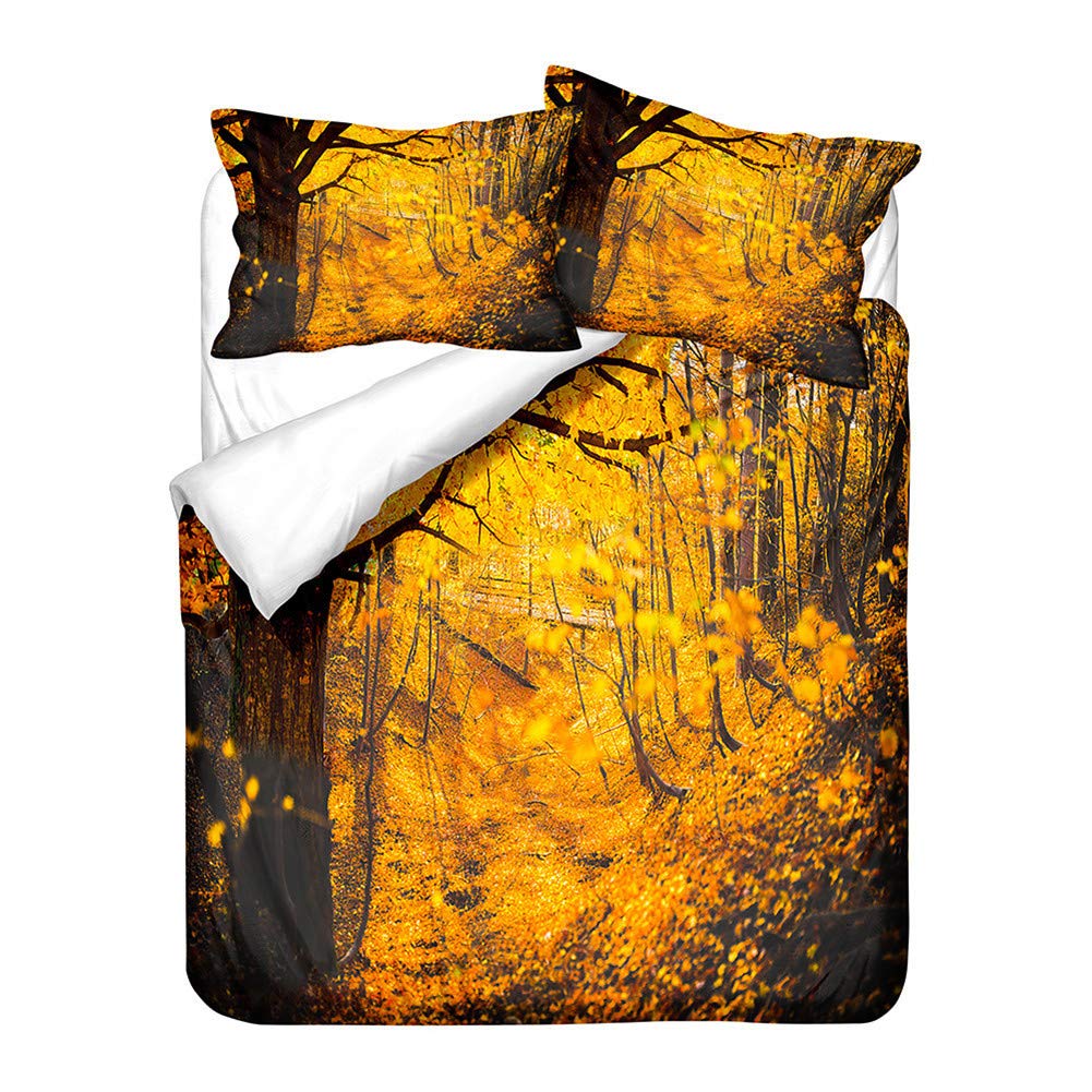 Housse de couette microfibre 200x200cm anti-pli pour rafraîchir la déco de chambre