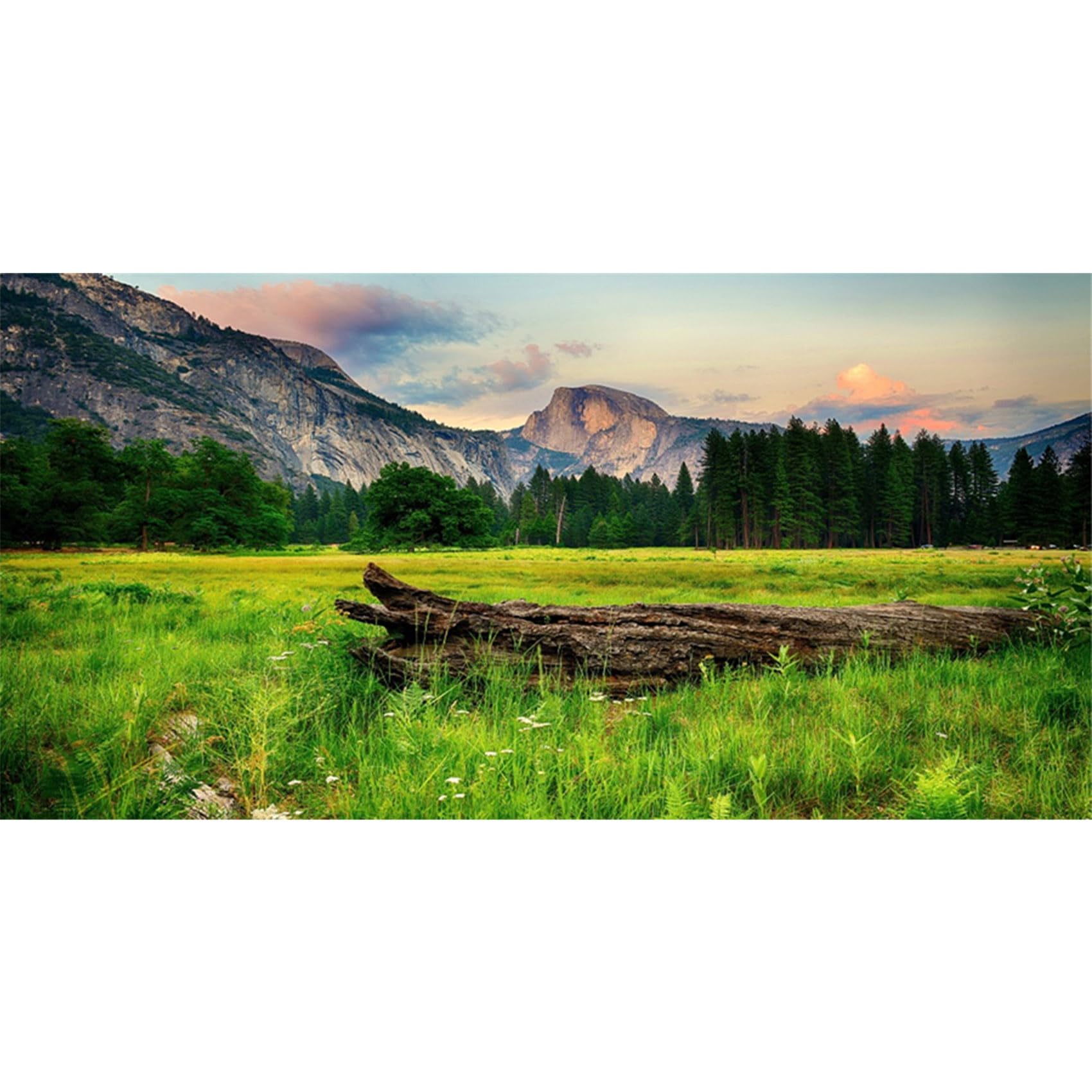MIRRORANG 76x46cm Mountain and Forest Terrarium Background Nature Landscape Aquarium Background Sunny Meadow Reptile Habitat Background Durable Vinyl Background — image 1