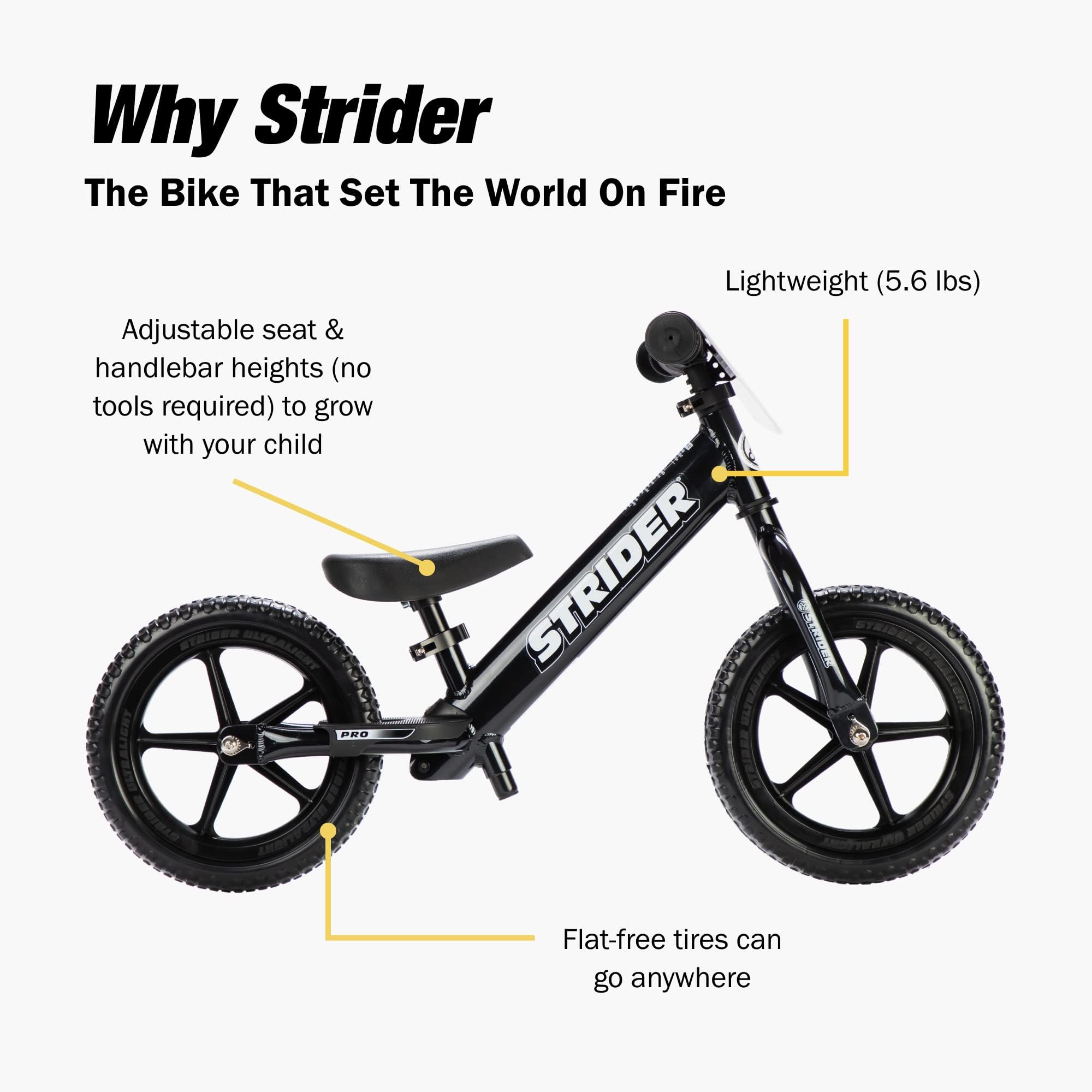 Amazon.co.jp: Strider 12 Pro Super Light Black Pearl Balance