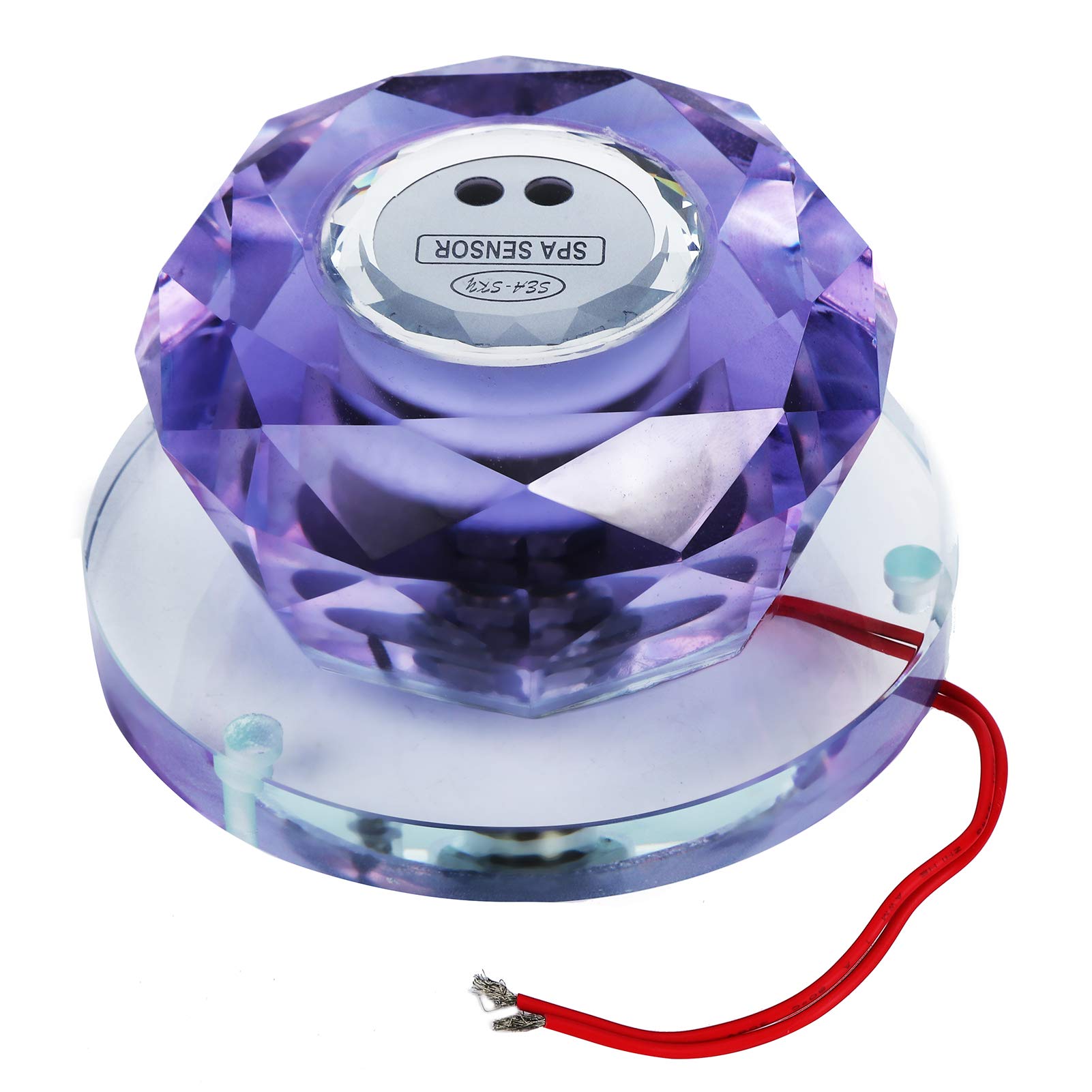 Gavigain Flow Switch for Spas, Outdoor Indoor Smart Switch Infrared Switch Controller Swimming Pool for Pool Pump, Water Heater, Spa, Powerful Electrical Appliances