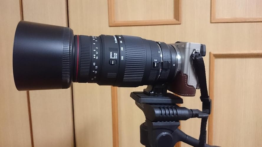 Amazon.co.jp: Sigma 70-300mm F4-5.6 APO DG MACRO (Canon) : Electronics