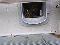 Review Image by S N J